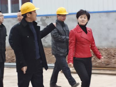 The mayor Xiao Zong accompanied week visit plant construction